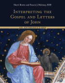 book cover for Interpreting the Gospel and Letters of John