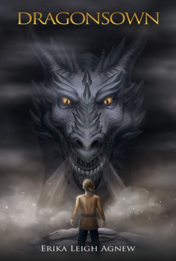 book cover for Dragonsown: Surface