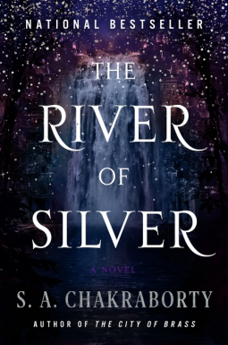 book cover for The River of Silver