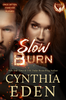 book cover for Slow Burn