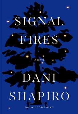 book cover for Signal Fires
