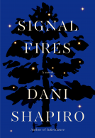 book cover for Signal Fires