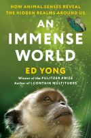book cover for An Immense World
