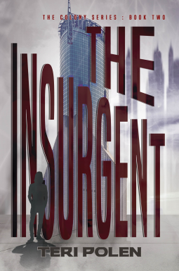 book cover for The Insurgent
