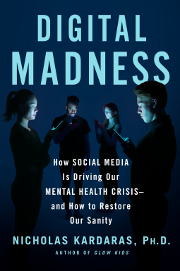 book cover for Digital Madness