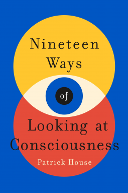 book cover for Nineteen Ways of Looking at Consciousness