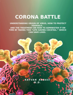 book cover for CORONA BATTLE