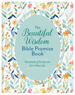 book cover for The Beautiful Wisdom Bible Promise Book
