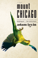 book cover for Mount Chicago