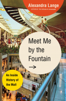 book cover for Meet Me by the Fountain