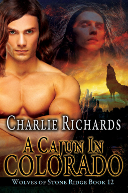 book cover for A Cajun in Colorado