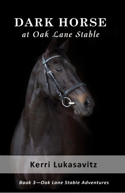book cover for Dark Horse at Oak Lane Stable : (Book 3 of 3)