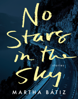 book cover for No Stars in the Sky