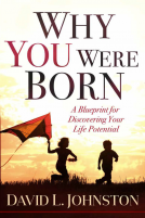 book cover for Why You Were Born