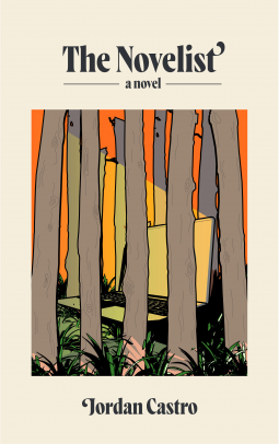 book cover for The Novelist