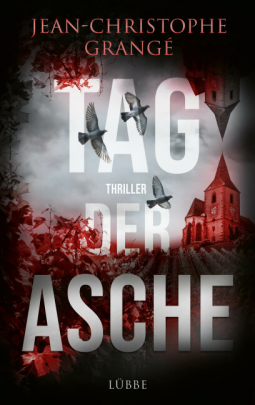 Buchcover für Tag der Asche