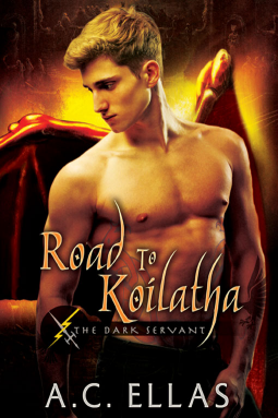 book cover for Road to Koilatha