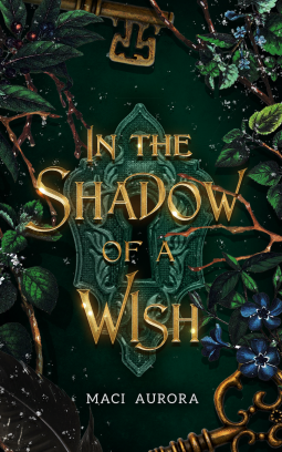 book cover for In the Shadow of a Wish