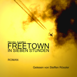 Buchcover für Freetown in sieben Stunden