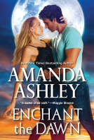 book cover for Enchant the Dawn