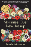 book cover for Moonrise Over New Jessup