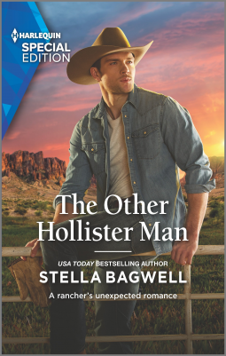 book cover for The Other Hollister Man