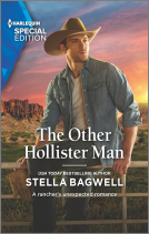 book cover for The Other Hollister Man