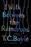 book cover for I Walk Between the Raindrops