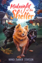 book cover for Midnight at the Shelter