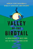 book cover for Valley of the Birdtail