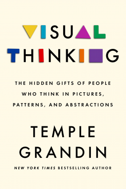 book cover for Visual Thinking