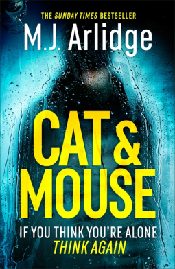 book cover for Cat And Mouse