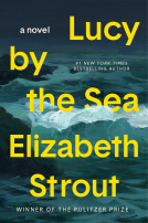 book cover for Lucy by the Sea