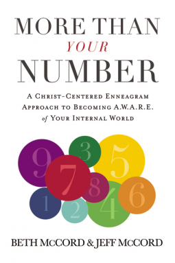 book cover for More Than Your Number