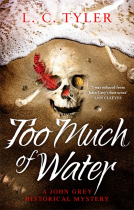 book cover for Too Much of Water