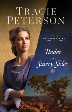 book cover for Under the Starry Skies