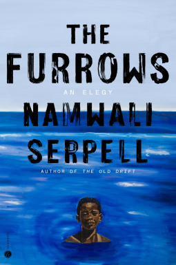 book cover for The Furrows