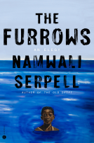 book cover for The Furrows