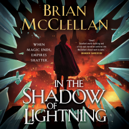 book cover for In the Shadow of Lightning