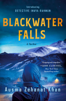 book cover for Blackwater Falls