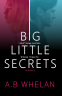 Cover Image: Big Little Secrets