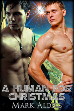 book cover for A Human for Christmas