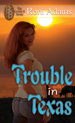 book cover for Trouble in Texas