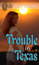 book cover for Trouble in Texas