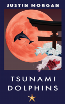 book cover for Tsunami Dolphins