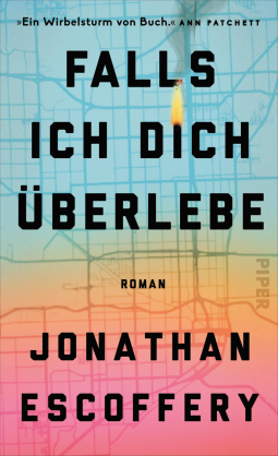 Buchcover für Falls ich dich überlebe