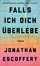 Buchcover für Falls ich dich überlebe
