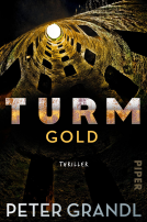Buchcover für Turmgold