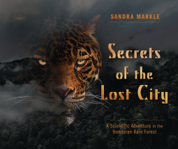 book cover for Secrets of the Lost City