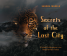 book cover for Secrets of the Lost City